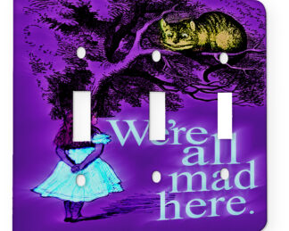 Alice in Wonderland Mad Chesire Quote - 3 Gang Switch Plate
