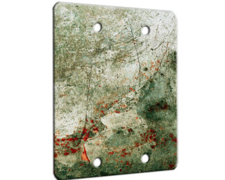 Adventure - 2 Gang Blank Wall Plate Cover
